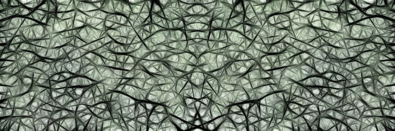 Brain
