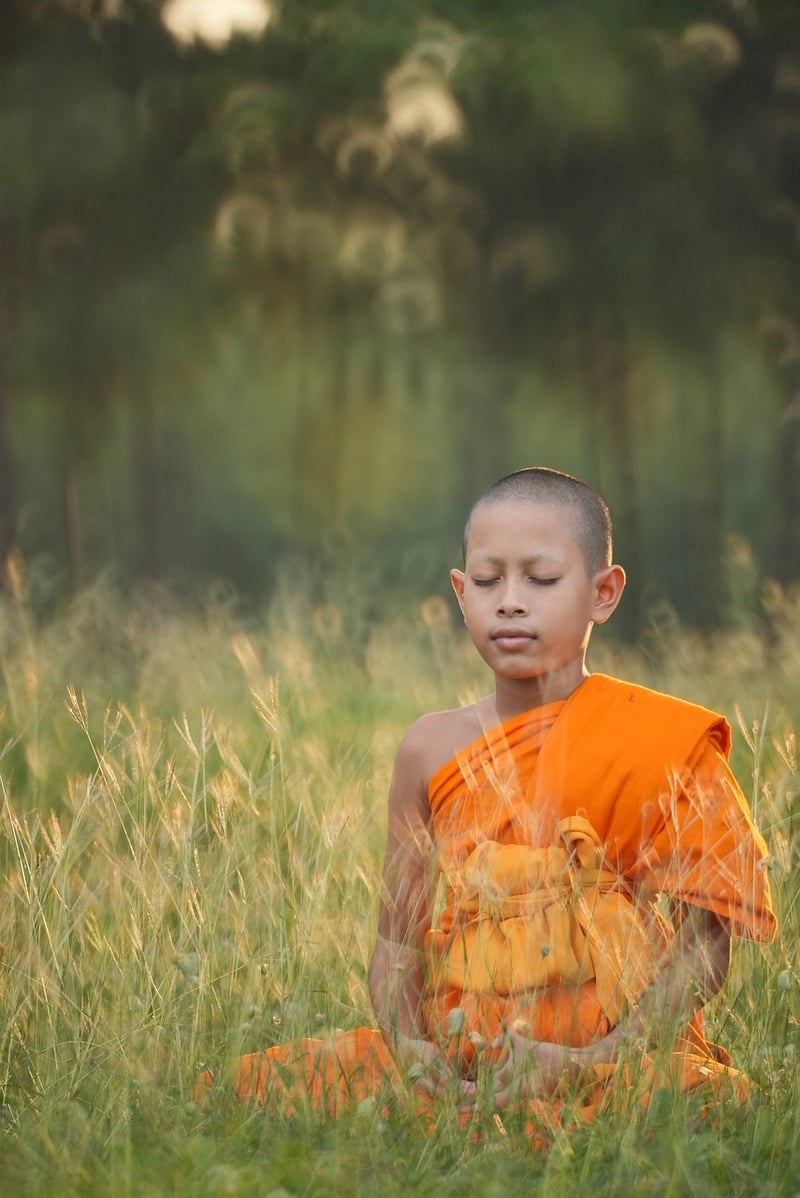 Meditation and spiritual well-being